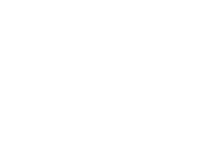 Raphion Motor Group